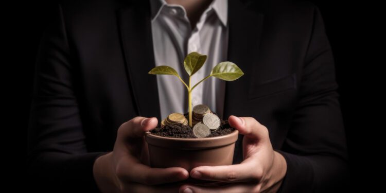 Investidor segurando uma planta em alusão a investimento