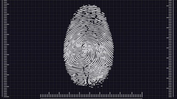 Biometria (Imagem: Pete Linforth/Pixabay)
