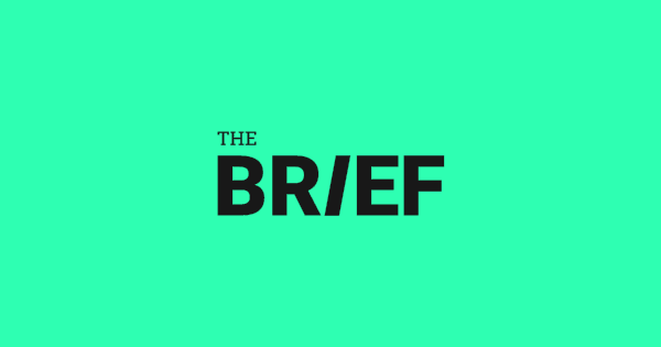 thebrief img 1