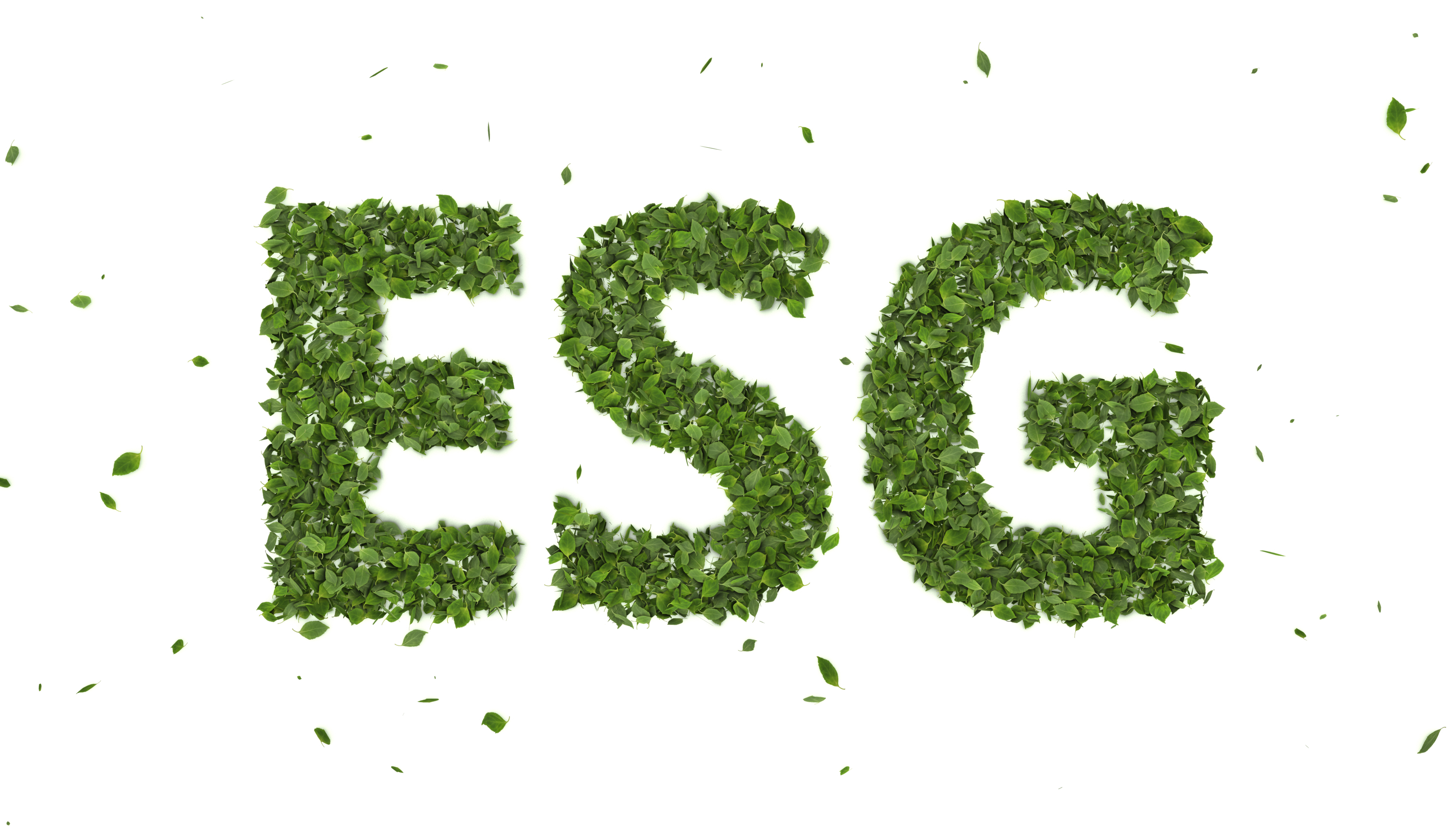 abstract 3d leaves forming esg text symbol on white background creative eco environment investment fund 2021 future green energy innovation business trend