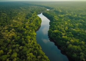 O imponente Rio Amazonas serpenteia majestosamente pela densa selva tropical