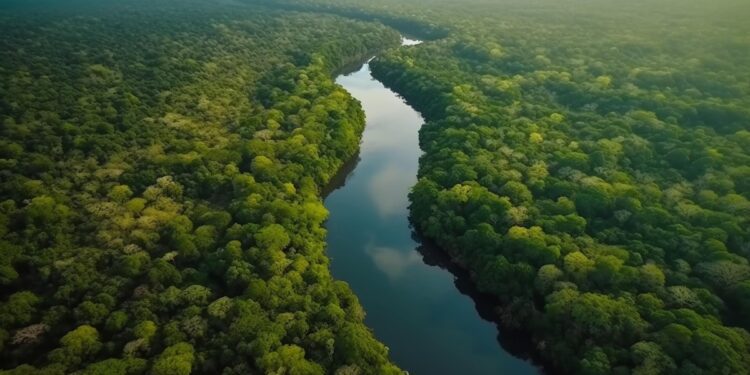 O imponente Rio Amazonas serpenteia majestosamente pela densa selva tropical