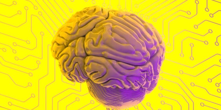 Cérebro humano representando a IA