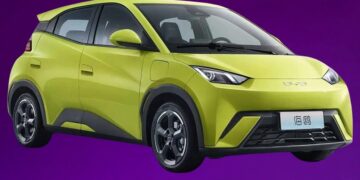 capa byd mini dolphin