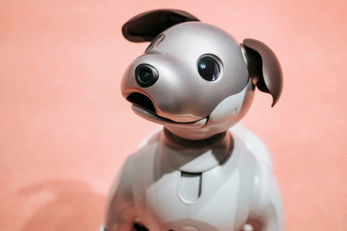 Idosos na Inglaterra vão ter acesso a cães robôs? Saiba mais