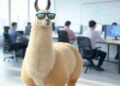 capa llama4