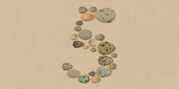 Anthropic lança Claude Opus 5 com metade do preço do Fable 5 67 Imagem: Anthropic/Divulgação — arte oficial do Claude Opus 5 em composição abstrata em forma de número 5